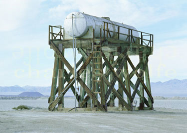 W0LFeDiTi0NS Web Hosting